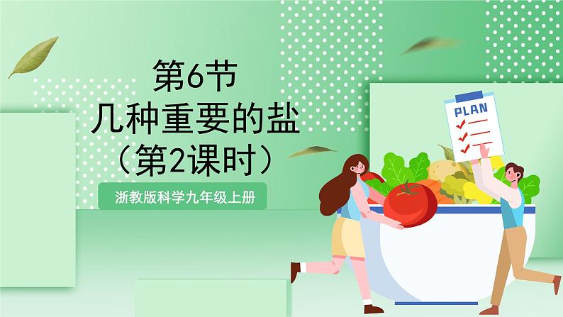 【新课标】浙教版科学九上第6节 《几种重要的盐》（第2课时）课件+练习01