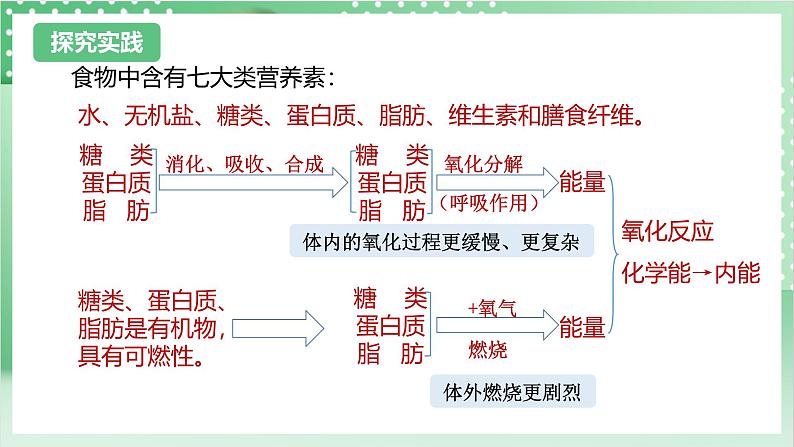 【新课标】浙教版科学九上第1节 《食物与营养》课件+练习04