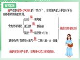 【新课标】浙教版科学九上第2节《 食物的消化与吸收》（第2课时）课件+练习