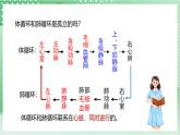 【新课标】浙教版科学九上第3节《 体内物质的运输》（第3课时）课件+练习