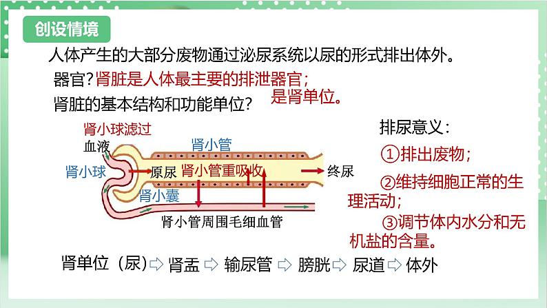 【新课标】浙教版科学九上第5节 《体内物质的动态平衡》（第2课时）课件+练习03