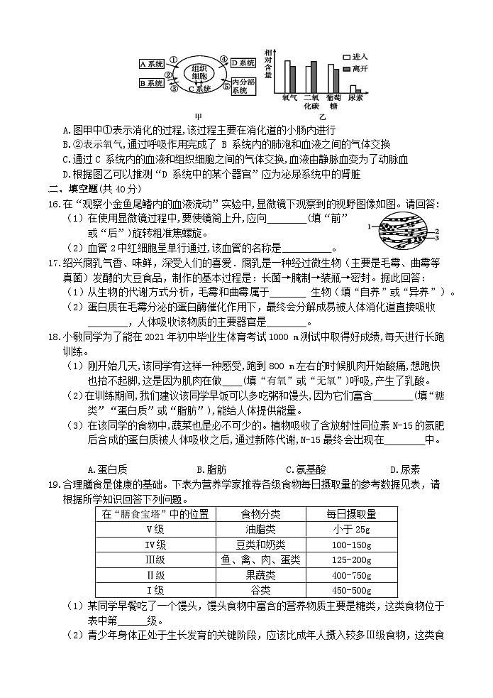 【单元测试】浙教版科学九上第4章 《代谢与平衡》 综合测试03