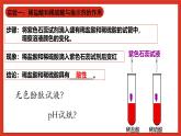华师大版科学九上2.2《重要的酸2》课件+素材