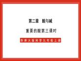华师大版科学九上2.2《重要的酸3》课件