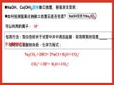 华师大版科学九上2.3《重要的碱3》课件