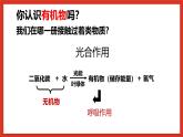 华师大版科学九上4.1《身边的有机物1》课件