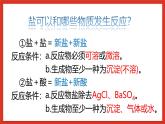 华师大版科学九上3.专题1：《可溶性盐和不溶性盐》课件
