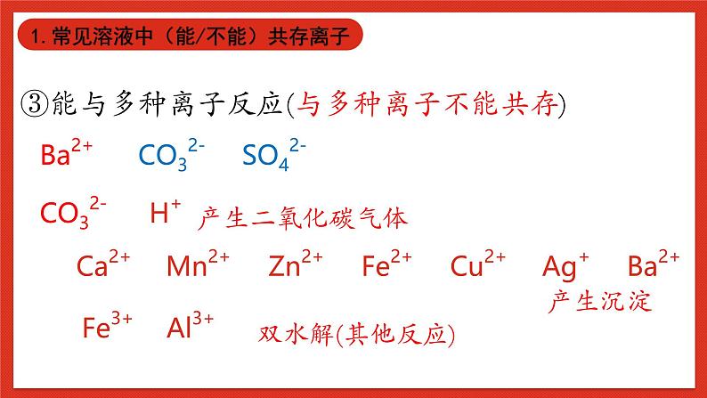 华师大版科学九上3.专题2：《物质的共存、鉴定和鉴别》课件05