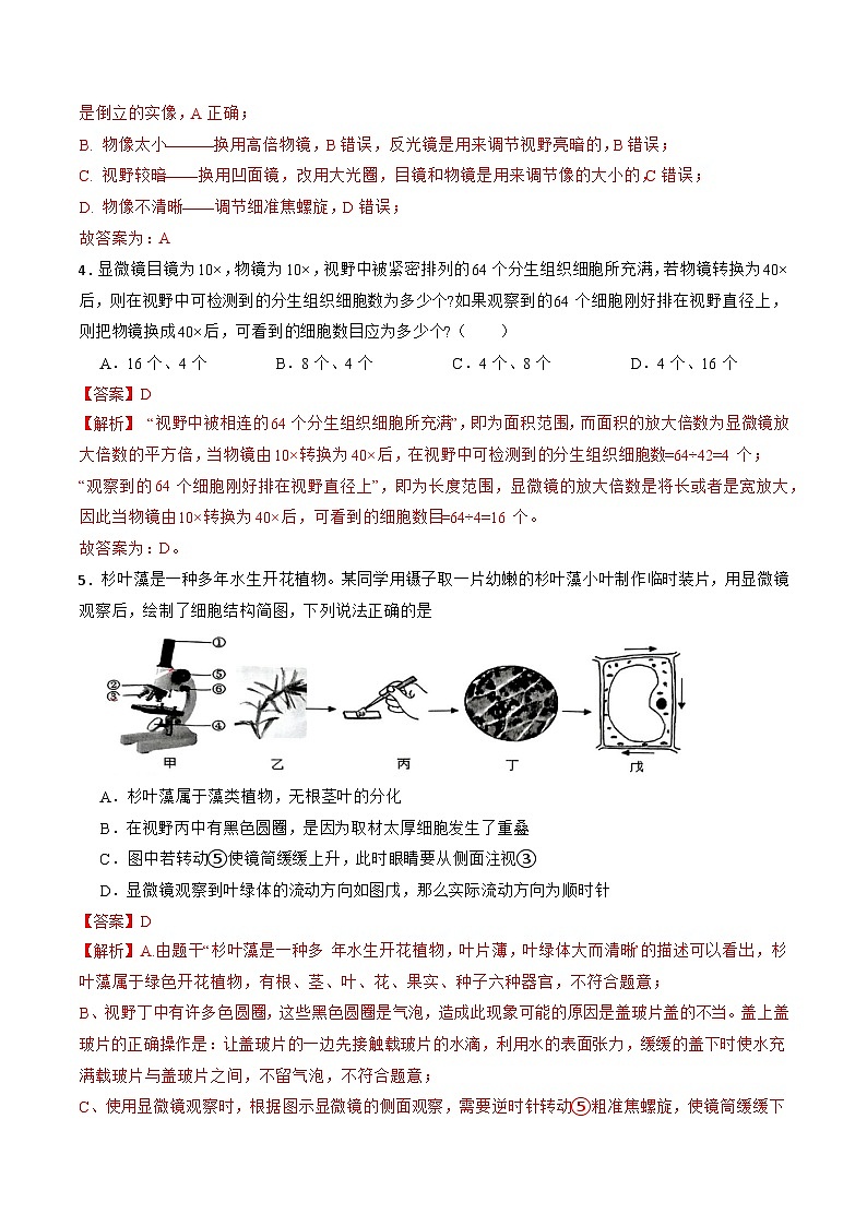 浙教版（2024）七年级上册科学 第二章 第一节 生物体的基本单位  同步课件+同步分层作业02
