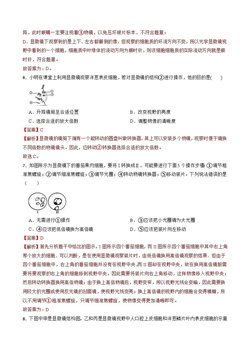 浙教版（2024）七年级上册科学 第二章 第一节 生物体的基本单位  同步课件+同步分层作业03