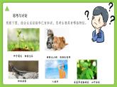 浙教版（2024）七年级上册科学 第二章 第一节 生物体的基本单位  同步课件+同步分层作业