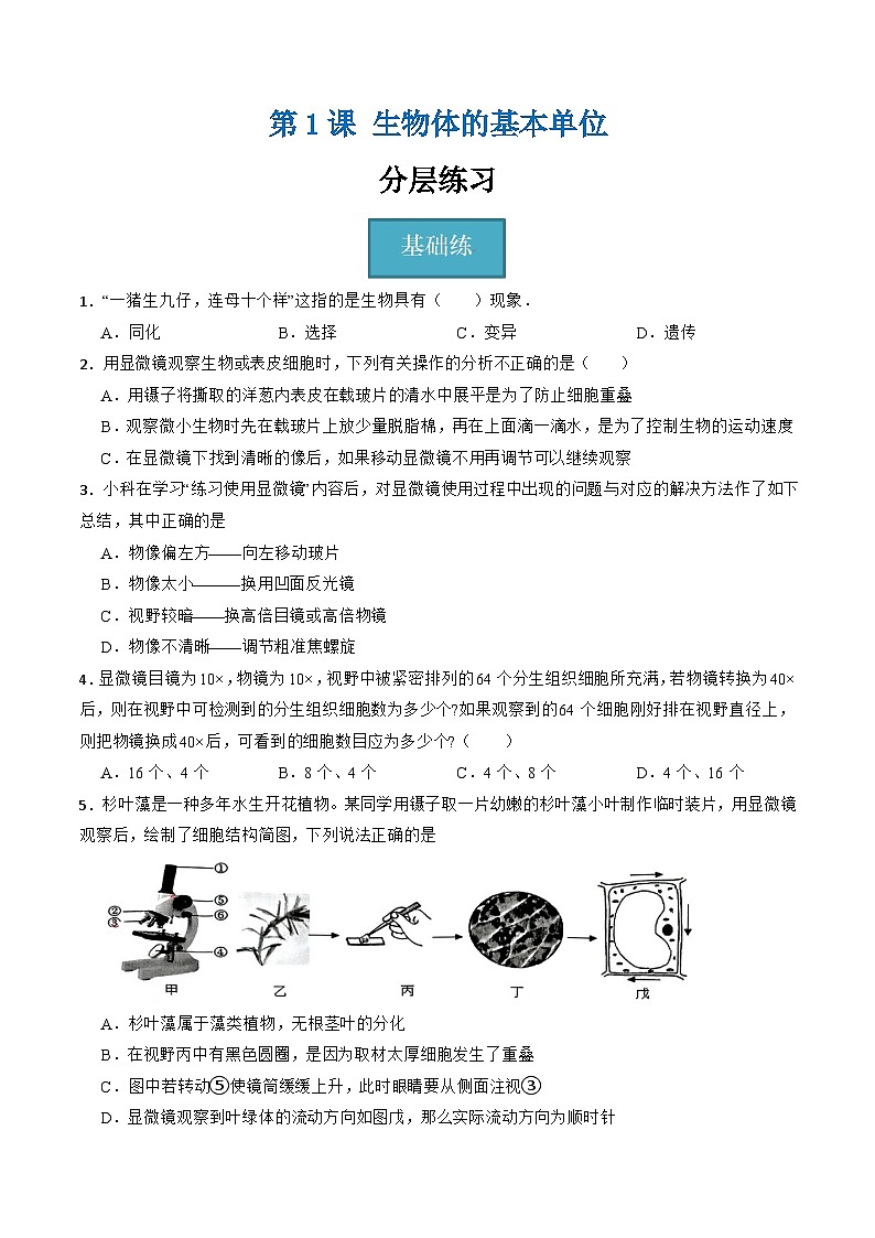 浙教版（2024）七年级上册科学 第二章 第一节 生物体的基本单位  同步课件+同步分层作业01