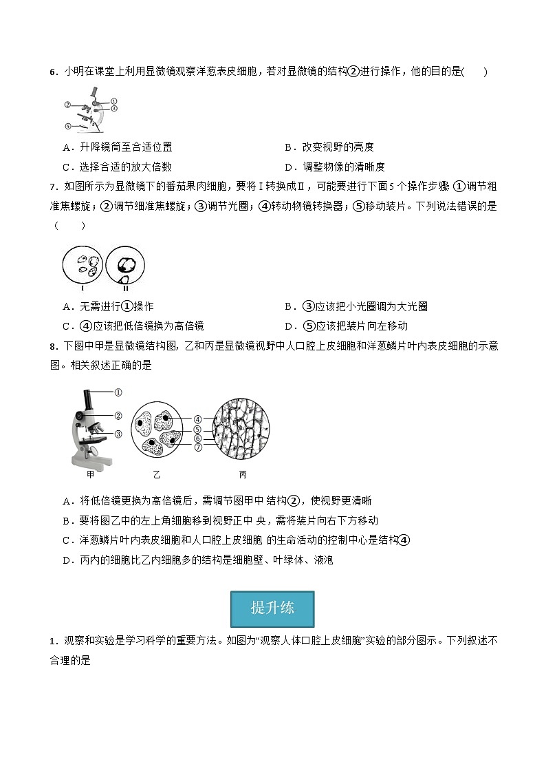 浙教版（2024）七年级上册科学 第二章 第一节 生物体的基本单位  同步课件+同步分层作业02