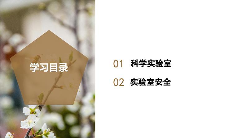 （ 浙教版2024）七年级科学上册1.2 科学测量（第4课时） 课件+教案+导学案+同步作业02