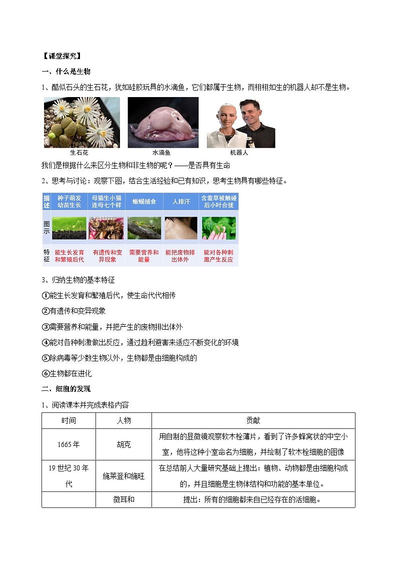 （ 浙教版2024）七年级科学上册2.1 生物体的基本单位（第1课时） 课件+教案+导学案+同步作业02