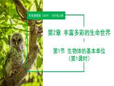 （ 浙教版2024）七年级科学上册2.1 生物体的基本单位（第1课时） 课件+教案+导学案+同步作业