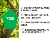（ 浙教版2024）七年级科学上册2.1 生物体的基本单位（第1课时） 课件+教案+导学案+同步作业