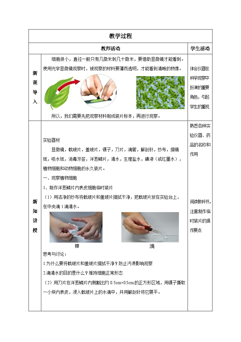 （ 浙教版2024）七年级科学上册2.1 生物体的基本单位（第3课时） 课件+教案+导学案+同步作业02