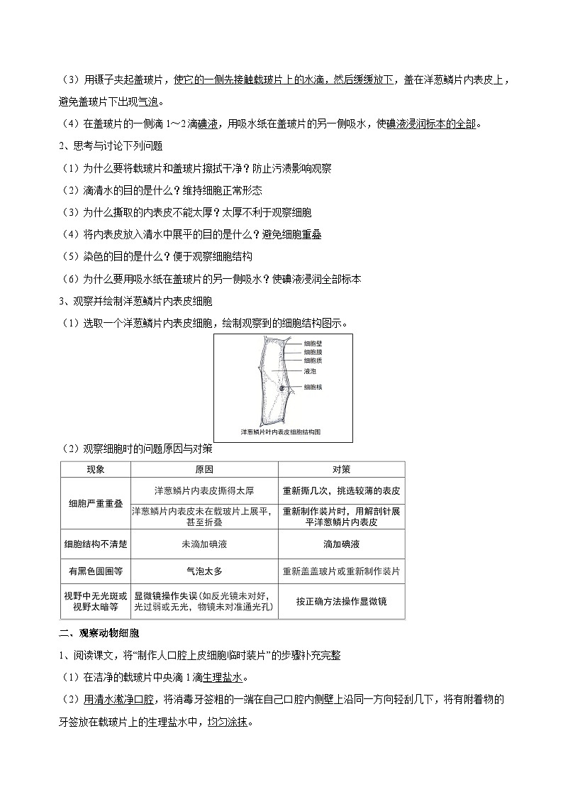 （ 浙教版2024）七年级科学上册2.1 生物体的基本单位（第3课时） 课件+教案+导学案+同步作业02