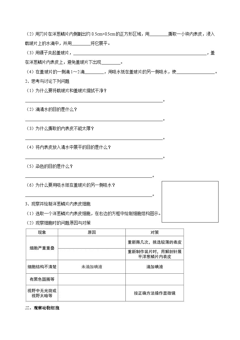 （ 浙教版2024）七年级科学上册2.1 生物体的基本单位（第3课时） 课件+教案+导学案+同步作业02