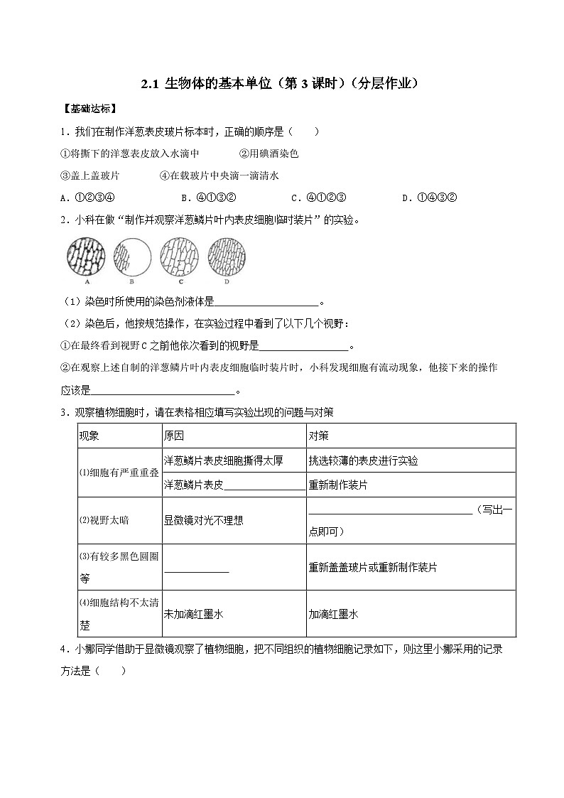 （ 浙教版2024）七年级科学上册2.1 生物体的基本单位（第3课时） 课件+教案+导学案+同步作业01