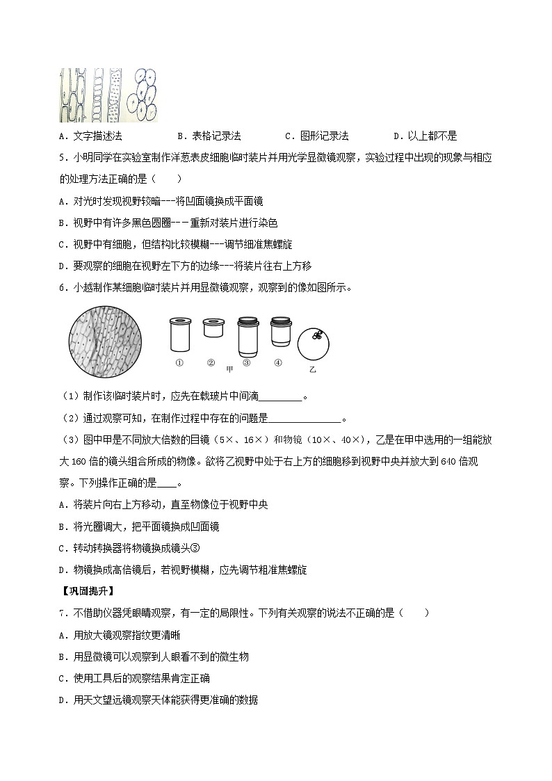 （ 浙教版2024）七年级科学上册2.1 生物体的基本单位（第3课时） 课件+教案+导学案+同步作业02