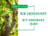 （ 浙教版2024）七年级科学上册2.1 生物体的基本单位（第2课时） 课件+教案+导学案+同步作业
