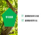 （ 浙教版2024）七年级科学上册2.1 生物体的基本单位（第2课时） 课件+教案+导学案+同步作业