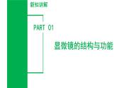 （ 浙教版2024）七年级科学上册2.1 生物体的基本单位（第2课时） 课件+教案+导学案+同步作业
