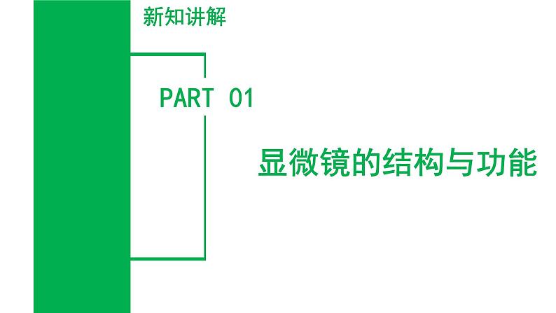 （ 浙教版2024）七年级科学上册2.1 生物体的基本单位（第2课时） 课件+教案+导学案+同步作业05