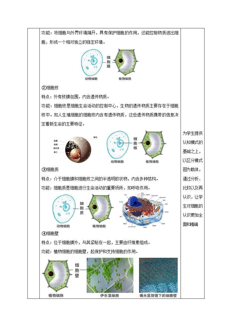 （ 浙教版2024）七年级科学上册2.1 生物体的基本单位（第4课时） 课件+教案+导学案+同步作业03
