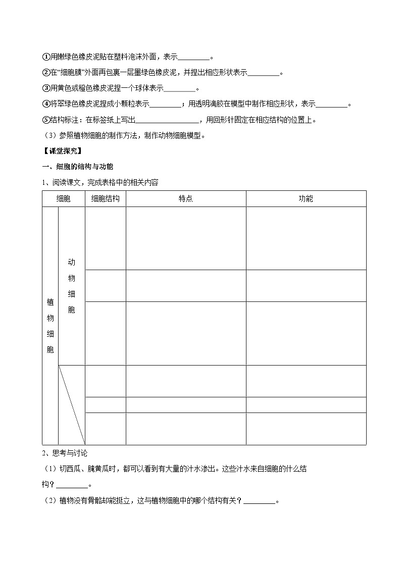 （ 浙教版2024）七年级科学上册2.1 生物体的基本单位（第4课时） 课件+教案+导学案+同步作业02