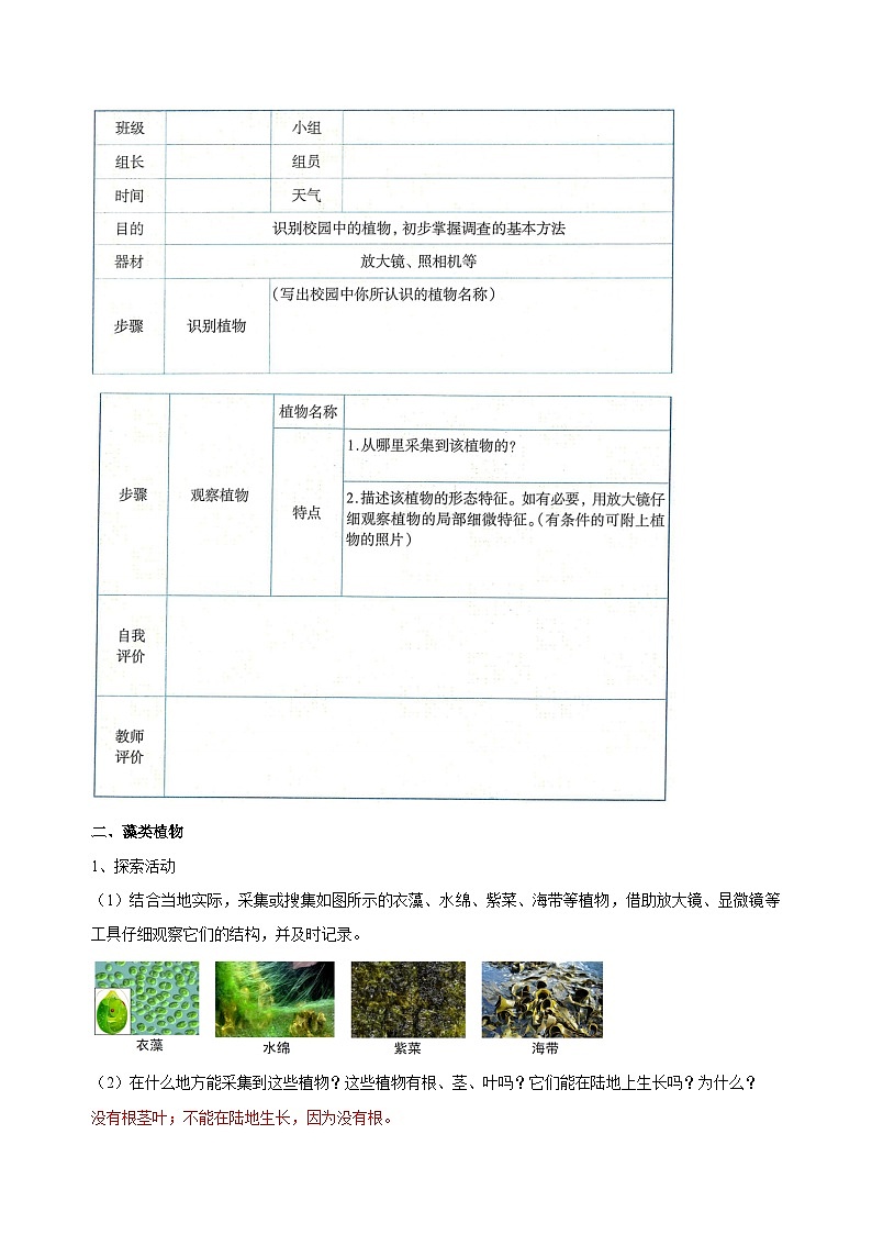 （ 浙教版2024）七年级科学上册2.2 形形色色的植物（第1课时） 课件+教案+导学案+同步作业02