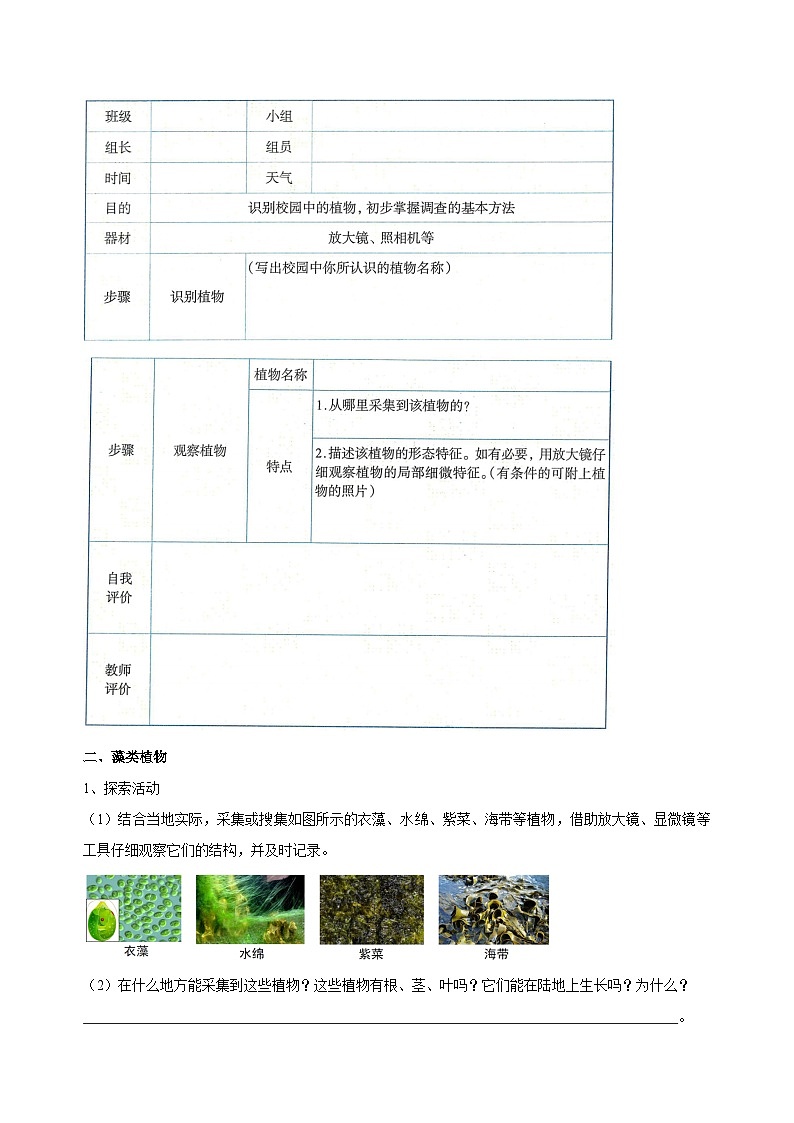 （ 浙教版2024）七年级科学上册2.2 形形色色的植物（第1课时） 课件+教案+导学案+同步作业02