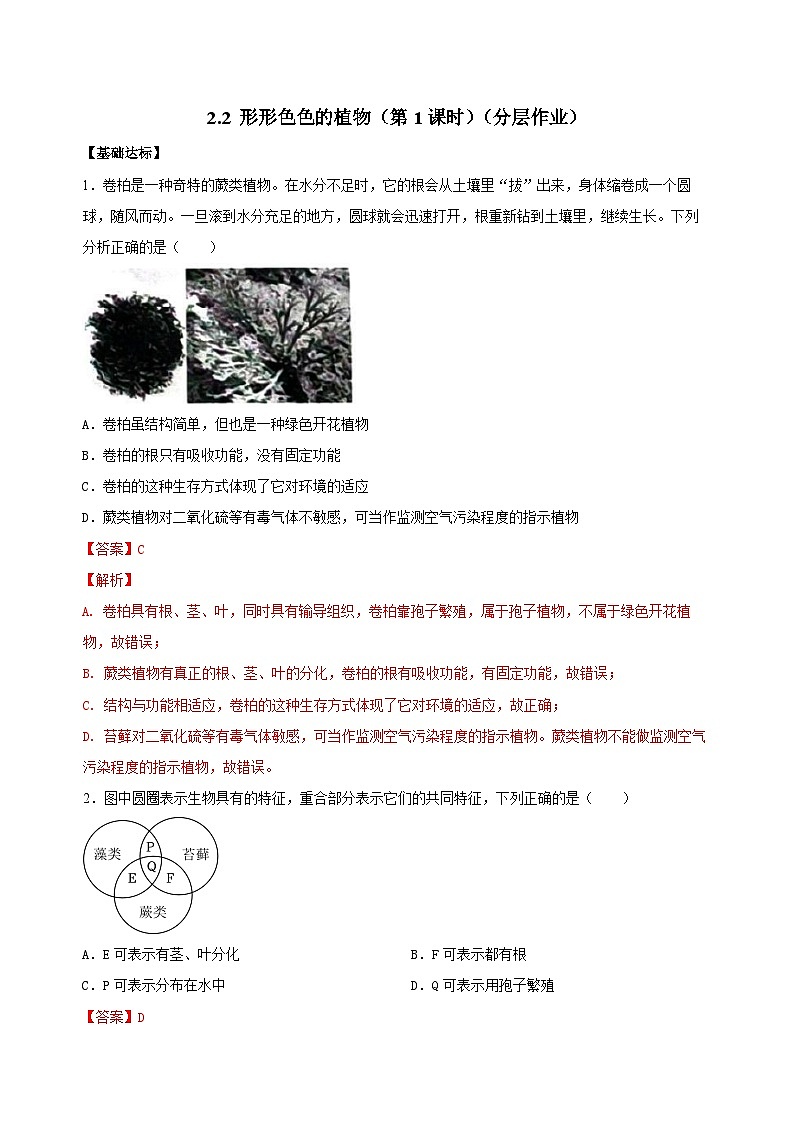 （ 浙教版2024）七年级科学上册2.2 形形色色的植物（第1课时） 课件+教案+导学案+同步作业01