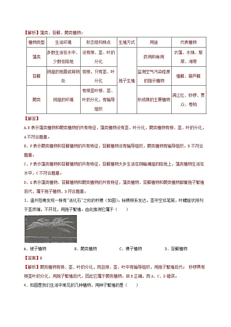 （ 浙教版2024）七年级科学上册2.2 形形色色的植物（第1课时） 课件+教案+导学案+同步作业02