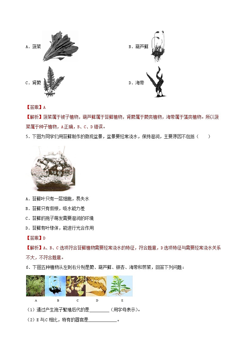 （ 浙教版2024）七年级科学上册2.2 形形色色的植物（第1课时） 课件+教案+导学案+同步作业03