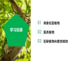 （ 浙教版2024）七年级科学上册2.2 形形色色的植物（第1课时） 课件+教案+导学案+同步作业