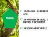（ 浙教版2024）七年级科学上册2.2 形形色色的植物（第1课时） 课件+教案+导学案+同步作业