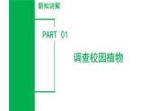 （ 浙教版2024）七年级科学上册2.2 形形色色的植物（第1课时） 课件+教案+导学案+同步作业