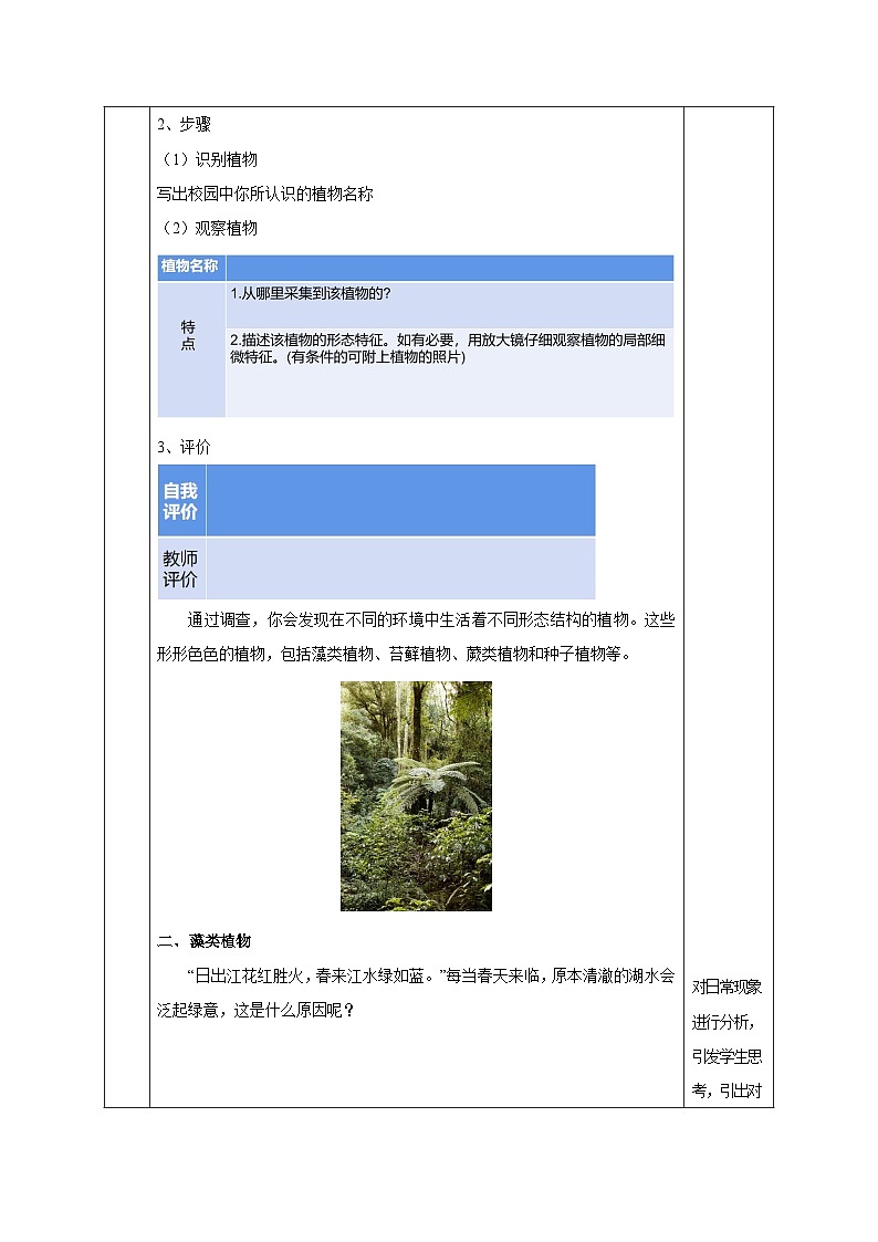 （ 浙教版2024）七年级科学上册2.2 形形色色的植物（第1课时） 课件+教案+导学案+同步作业03