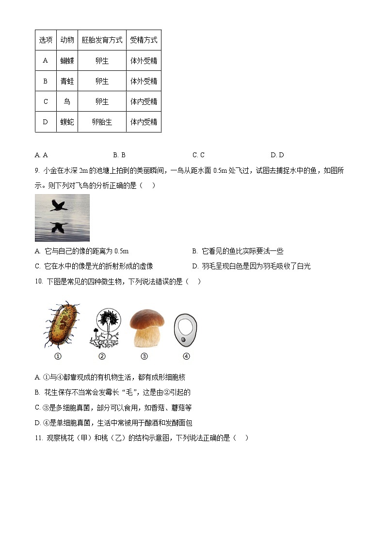 浙江省杭州市上城区2023-2024学年七年级下学期期末科学试题（原卷版+解析版）03