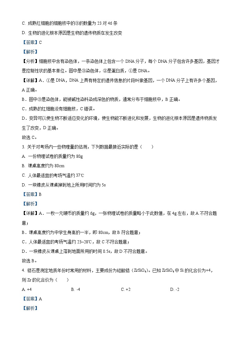 2024年浙江省金华市义乌市稠州中学中考三模科学试题（解析版）第2页