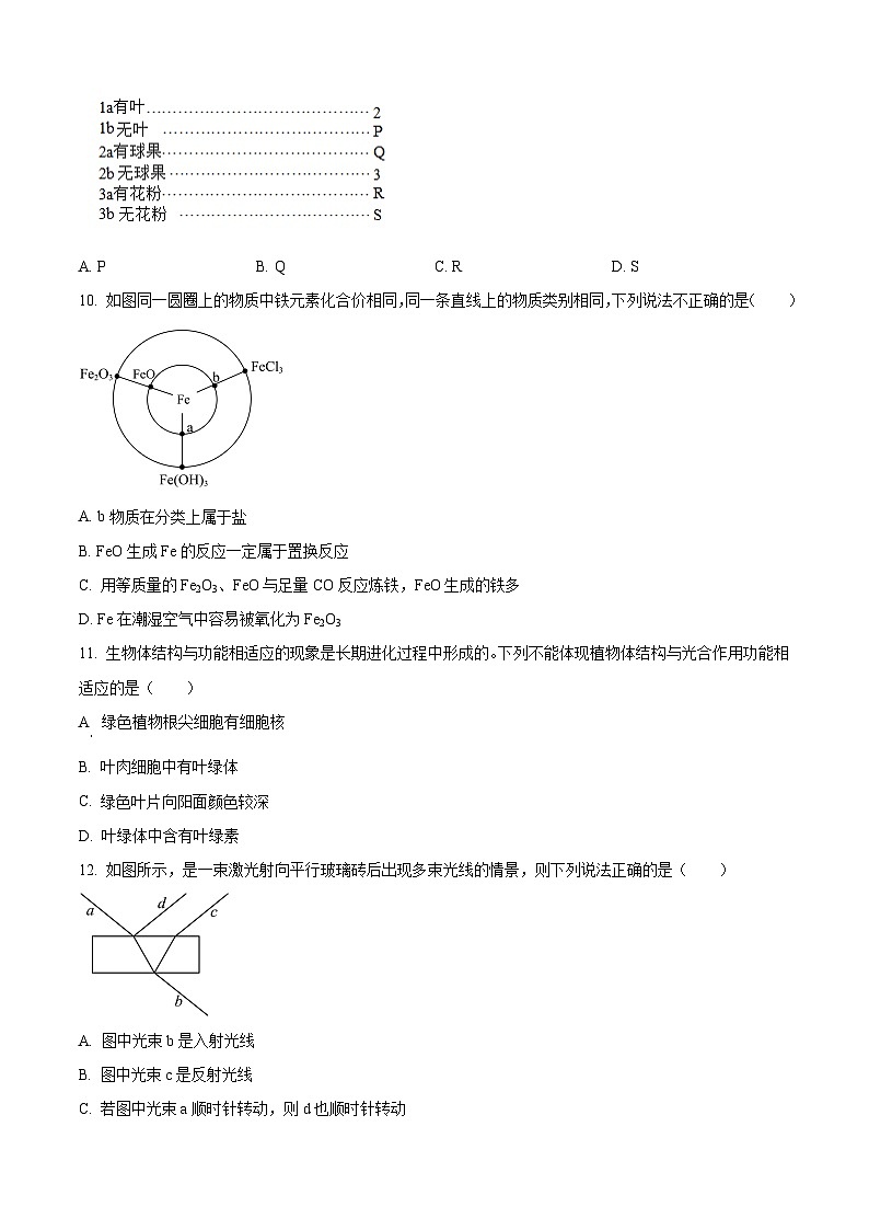 2024年浙江省杭州市西湖区中考二模科学试题（原卷版）第3页