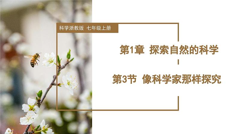 【核心素养】浙教版科学七年级上册 1.3 像科学家那样探究（教学课件+同步教案+同步练习）01