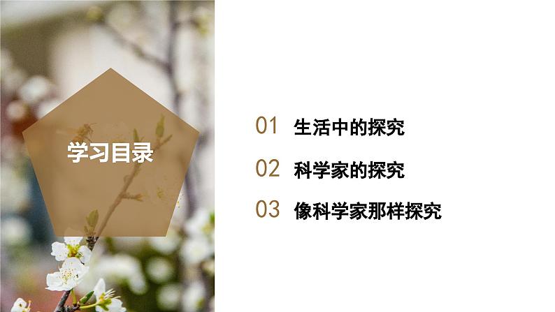 【核心素养】浙教版科学七年级上册 1.3 像科学家那样探究（教学课件+同步教案+同步练习）02