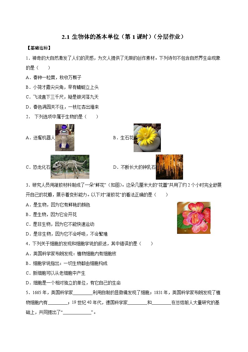 【核心素养】浙教版科学七年级上册 2.1 生物体的基本单位（第1课时）（教学课件+同步教案+同步练习）01