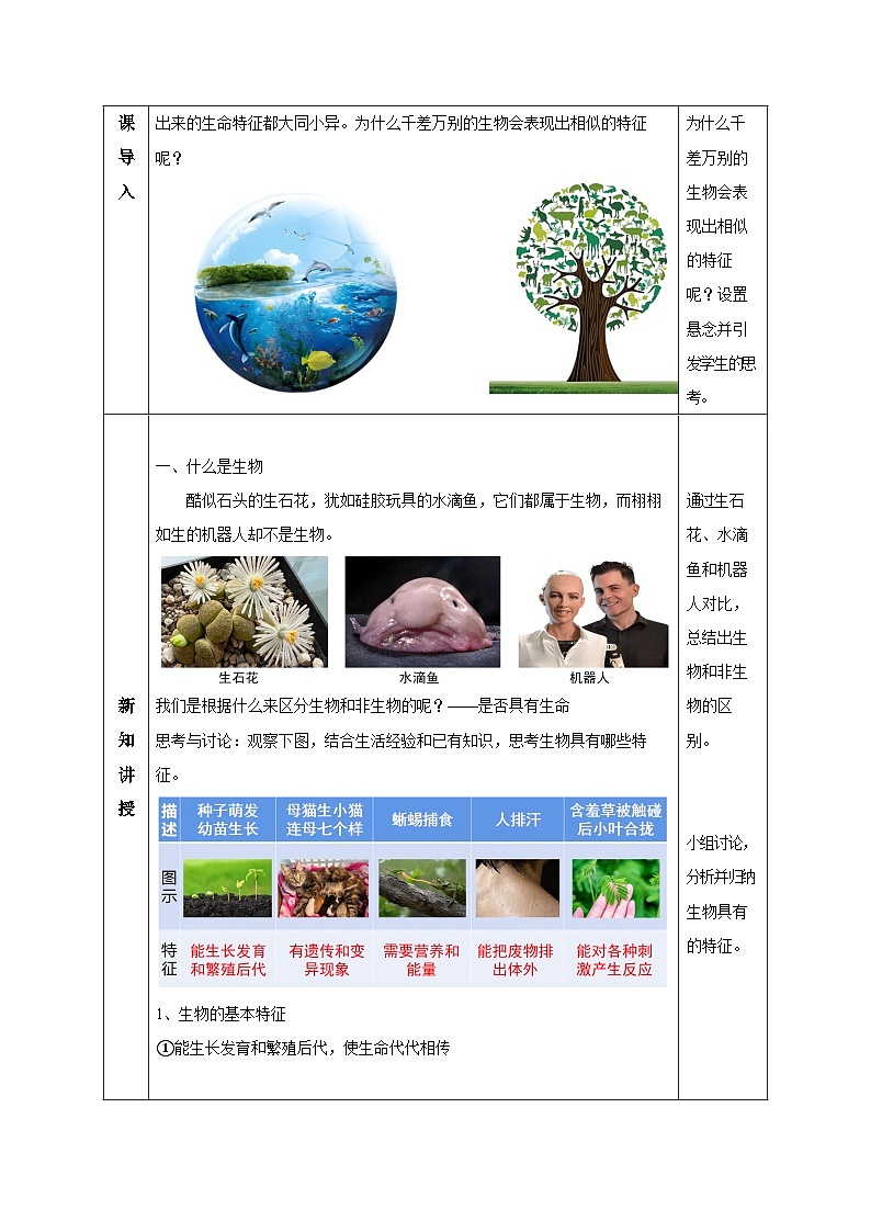 【核心素养】浙教版科学七年级上册 2.1 生物体的基本单位（第1课时）（教学课件+同步教案+同步练习）02