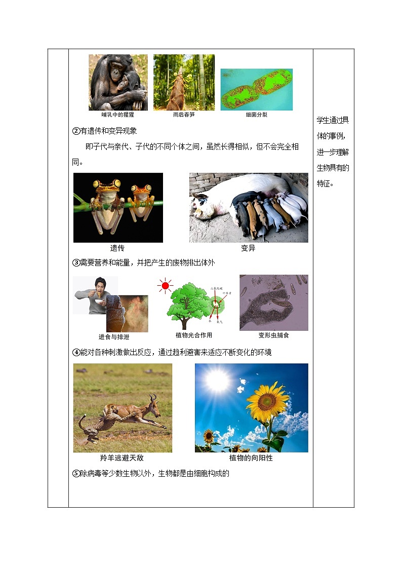【核心素养】浙教版科学七年级上册 2.1 生物体的基本单位（第1课时）（教学课件+同步教案+同步练习）03