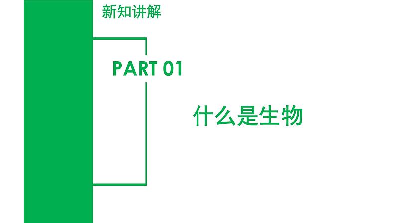 【核心素养】浙教版科学七年级上册 2.1 生物体的基本单位（第1课时）（教学课件+同步教案+同步练习）05